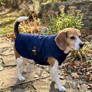 Toggle Wool Dog Coat